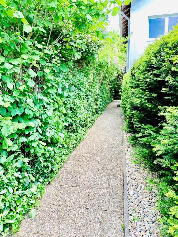 An Der Uniklinik, Apartment Mit Eigener Kueche Und Renoviertem Badezimmer, Zentrale Lage هومبورغ المظهر الخارجي الصورة